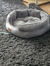 Amazon Customer review photo