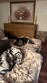 The Hull Pack review photo