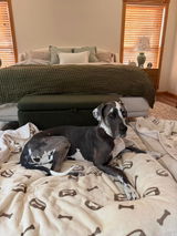 The Hull Pack review photo