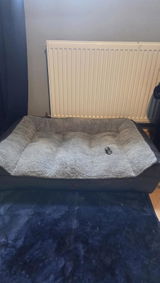 Felix review photo