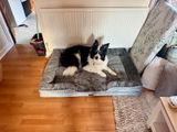 Danni Hill review photo