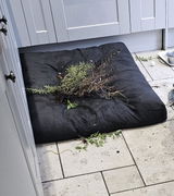 stanscrooby review photo