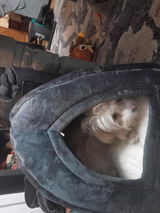 Amazon Customer review photo