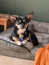 Amazon Customer review photo