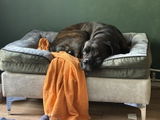 Amazon Customer review photo