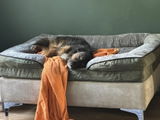 Amazon Customer review photo