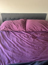 Nicole Sangston review photo