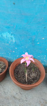 Sourav Mondal review photo