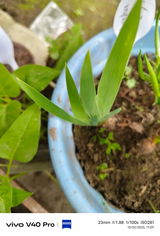 Junuma Kachari review photo