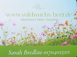 Sarah B. review photo