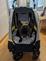 Shopper review photo