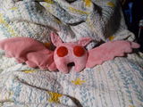 Phoebe review photo