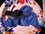 Bernice review photo