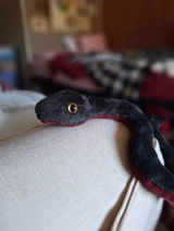 Vilma review photo