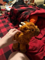 Charity review photo