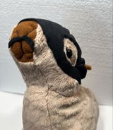 Clarissa review photo