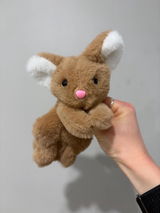 Agnes review photo