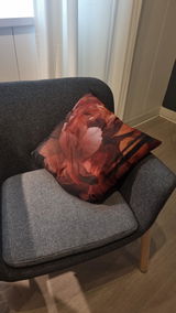 Customer review photo