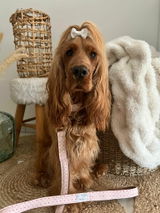 Justine Listar review photo