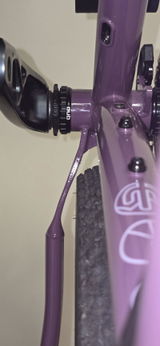 Daniel H review photo