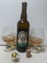 Thomas Knorr review photo