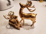 ralynch review photo