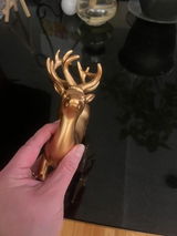 Amazon Customer review photo