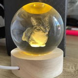 Scarlett Wright review photo