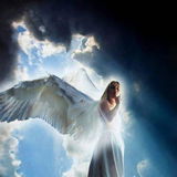 yeshua elohim review photo