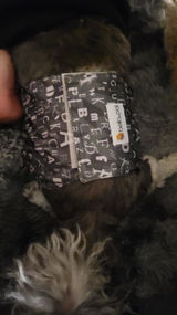 Riccardo Balboa review photo