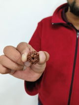 Hemant J review photo
