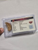 Vinay Jain review photo