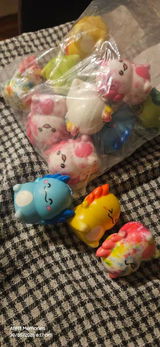 C.N. review photo