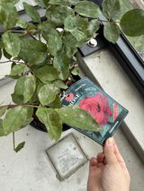 Anqi Liu review photo