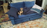 Tressie review photo
