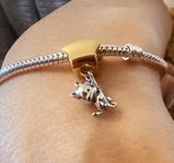 Cat Dangle on Gold Star