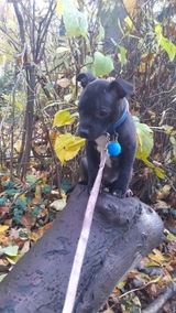 Van Thillo Stanislas/Missy review photo