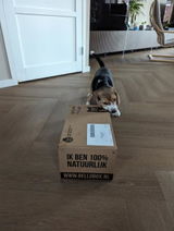 Hugo review photo