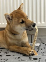 Milou review photo