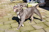 Lexie review photo