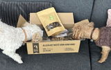 Iris Gibbon review photo