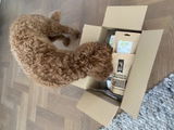 Loekie review photo