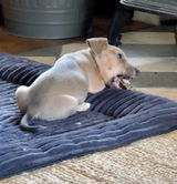 Debby review photo