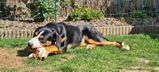 Klaas-Jan review photo
