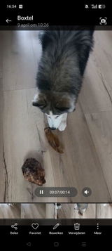Ingrid en Bowi review photo