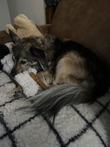 Desiree review photo