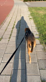 Sidney review photo