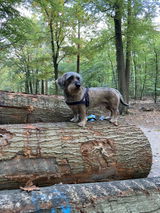 HE van Noort review photo
