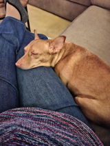 Gre Doorman review photo