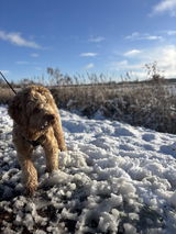 Jolien review photo